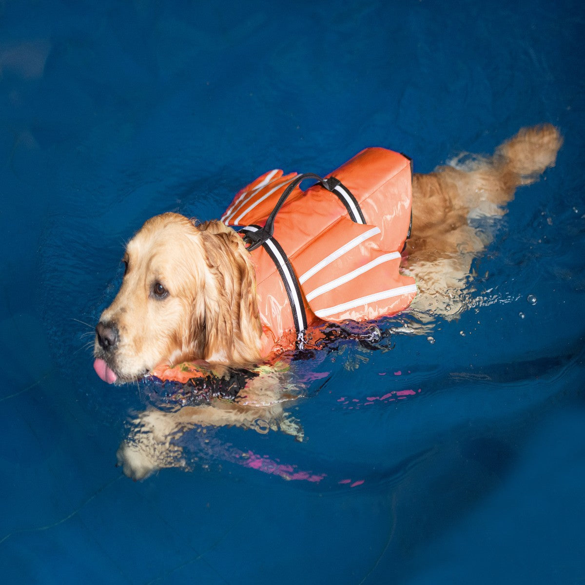 Pet Life Vest for Dogs | Adjustable Dog Swimming Safety Jacket
